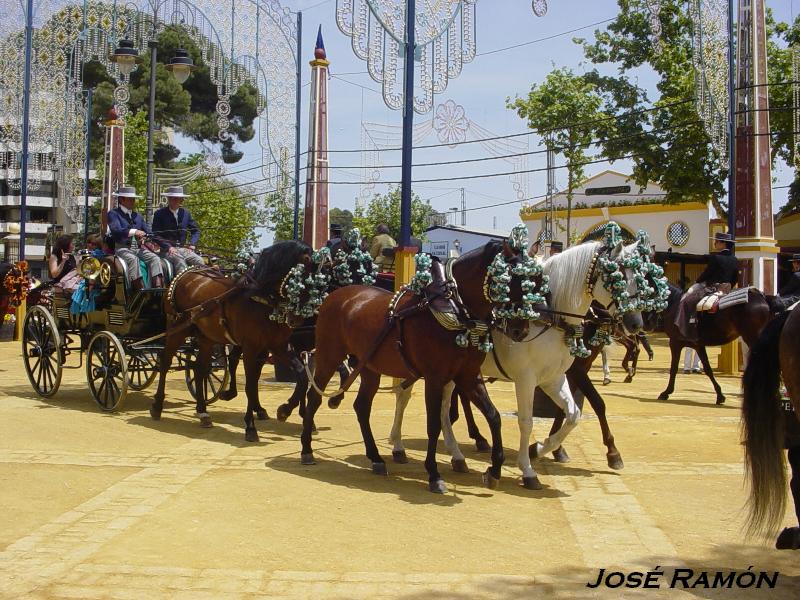 Foto de Jerez  de la Frontera (Cádiz), España