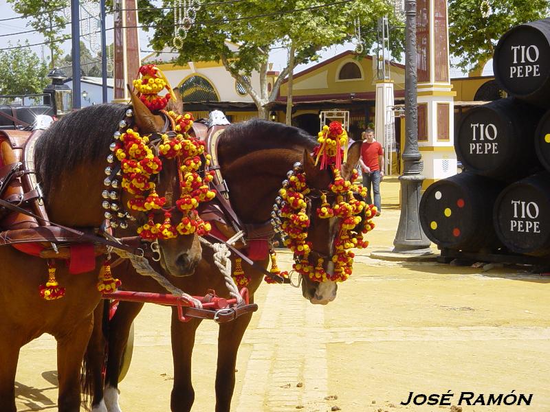 Foto de Jerez  de la Frontera (Cádiz), España