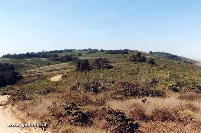 Foto de La Serena, Chile