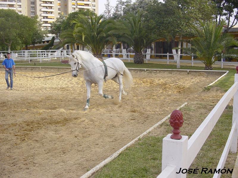 Foto de Jerez  de la Frontera (Cádiz), España
