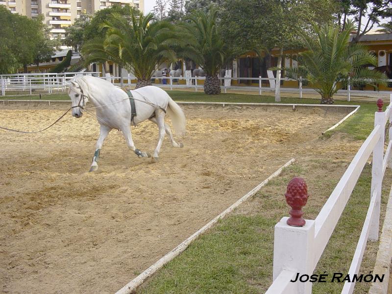 Foto de Jerez  de la Frontera (Cádiz), España