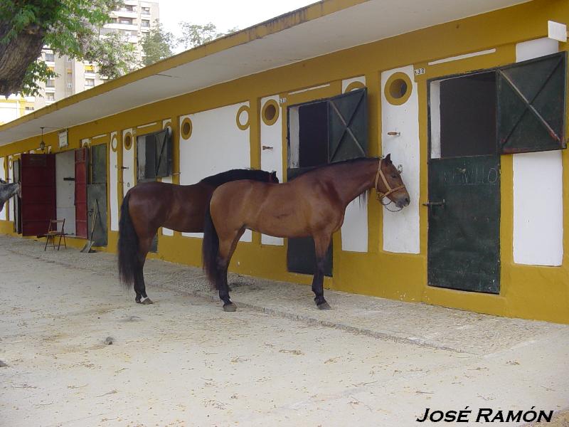 Foto de Jerez  de la Frontera (Cádiz), España
