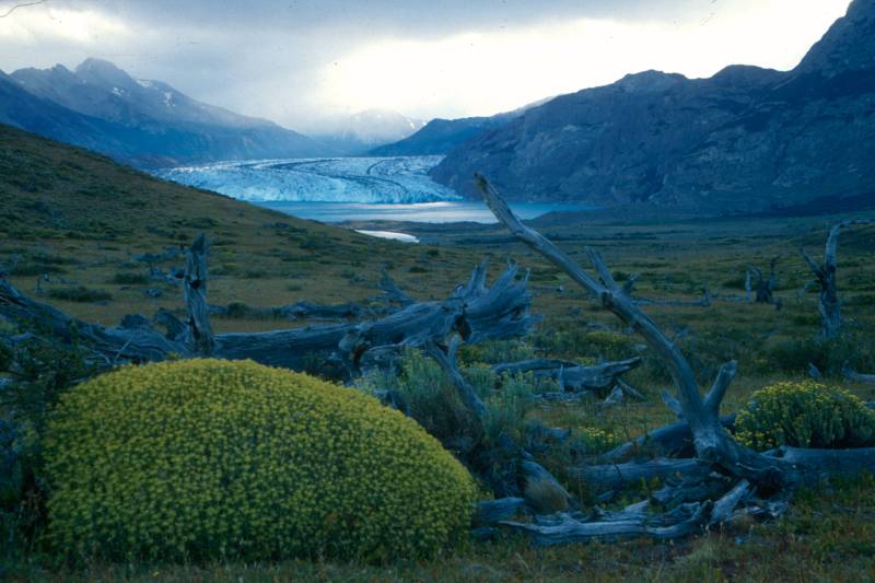 Foto de Torres del Paine, Chile