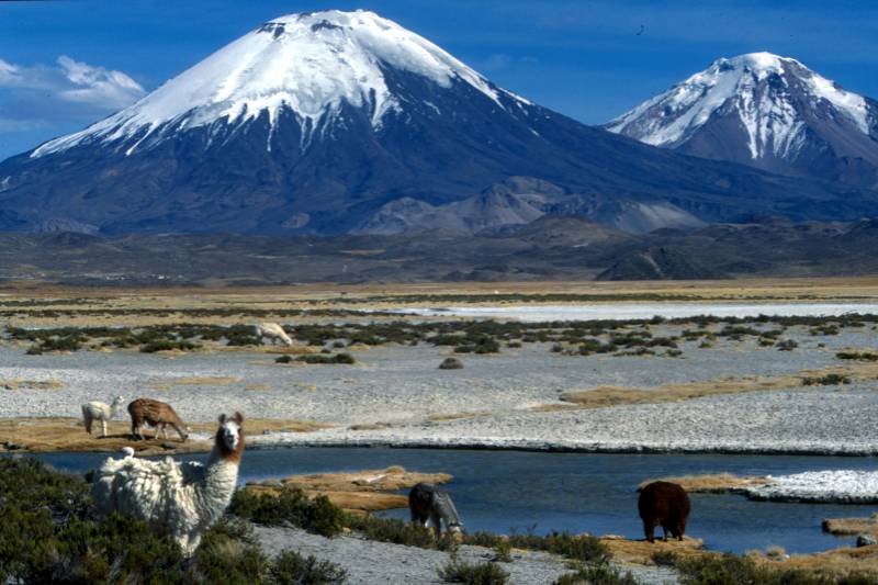 Foto de Parinacota, Chile