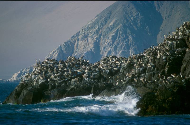 Foto de Arica, Chile