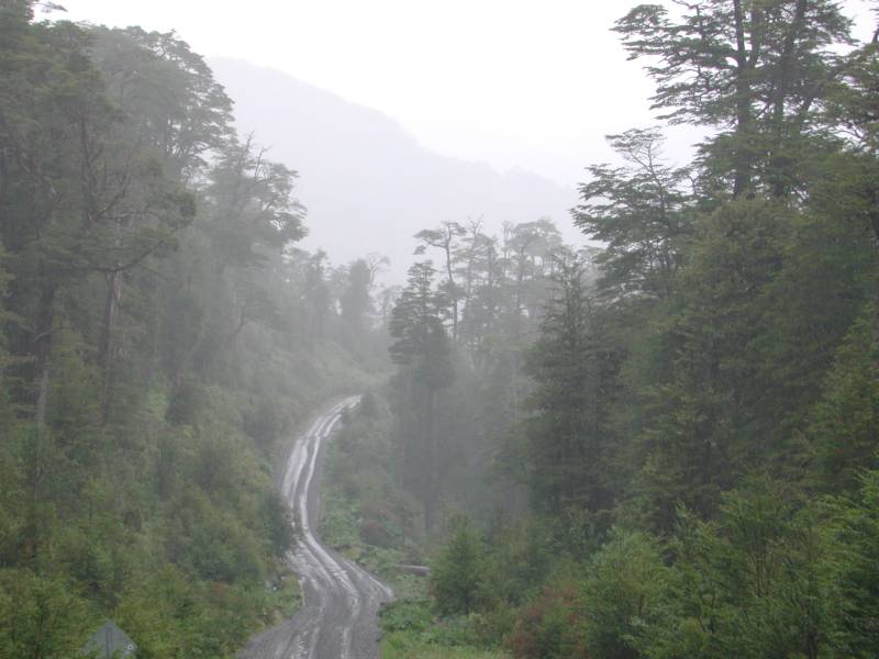 Foto de Puerto Montt, Chile