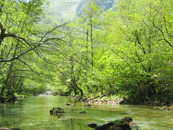 Foto de Asturias, España