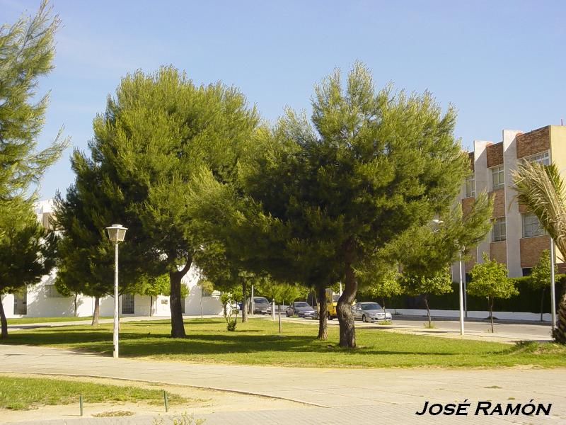 Foto de Jerez  de la Frontera (Cádiz), España