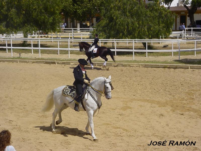 Foto de Jerez  de la Frontera (Cádiz), España