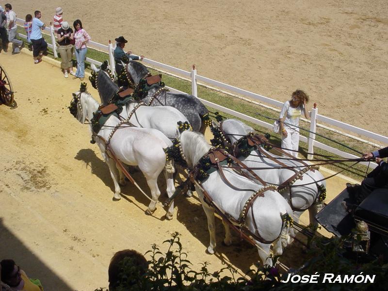 Foto de Jerez  de la Frontera (Cádiz), España