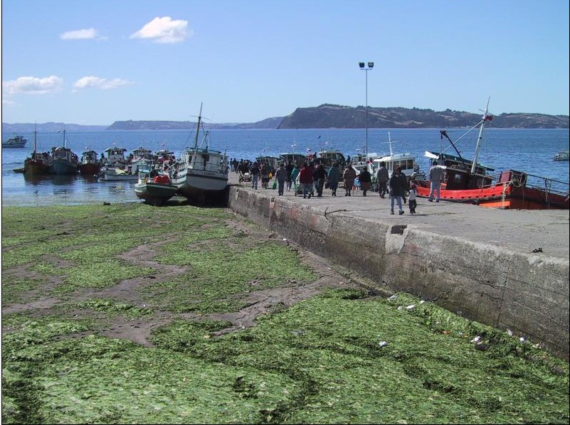 Foto de Chiloé, Chile
