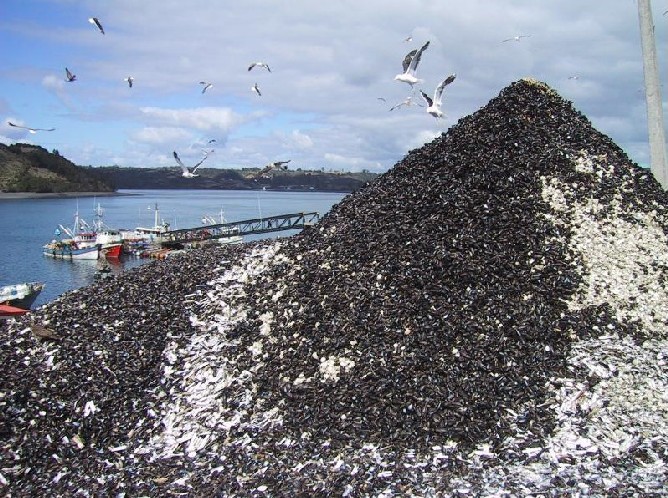 Foto de Chiloé, Chile
