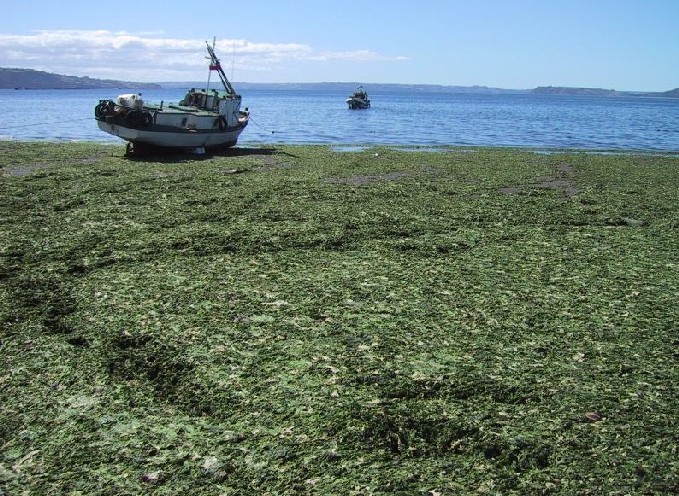 Foto de Chiloé, Chile