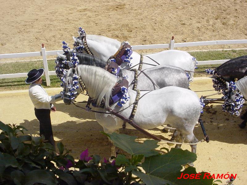 Foto de Jerez  de la Frontera (Cádiz), España