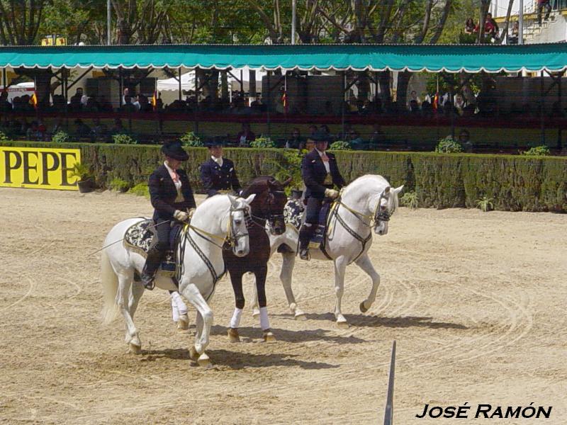 Foto de Jerez  de la Frontera (Cádiz), España