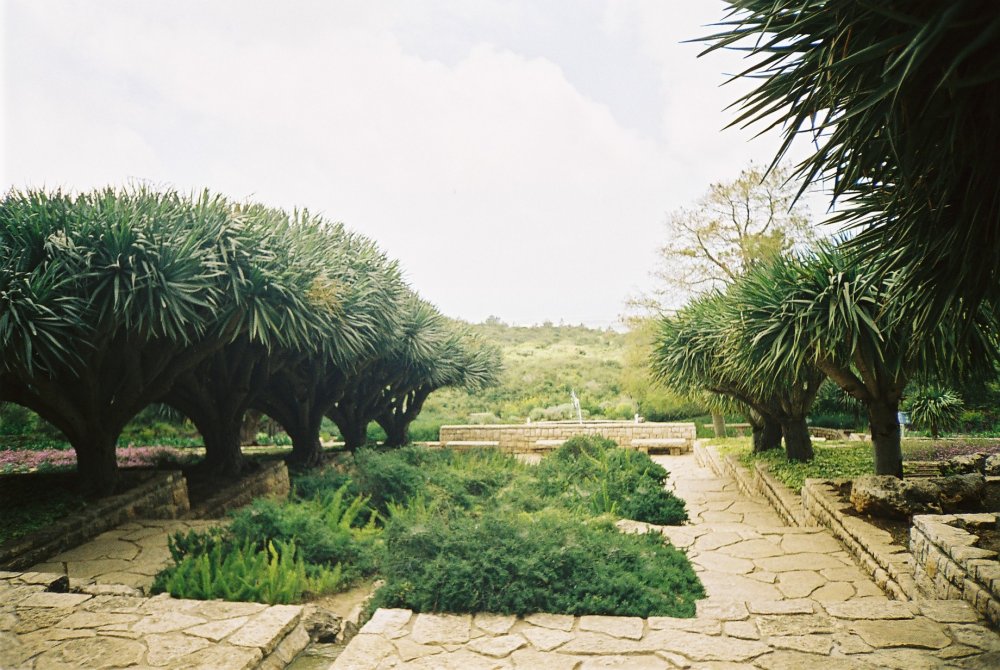 Foto de Zijrón Iaakov, Israel