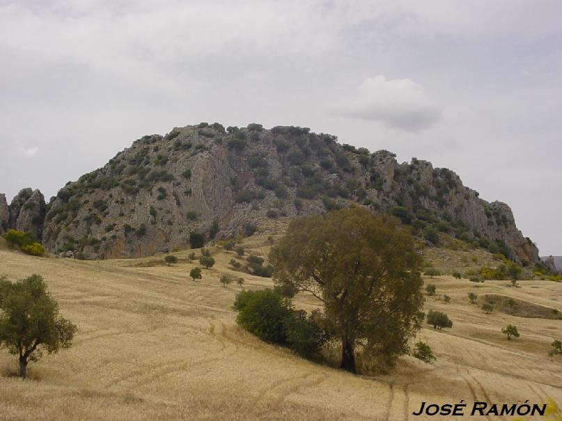 Foto de Olvera (Cádiz), España
