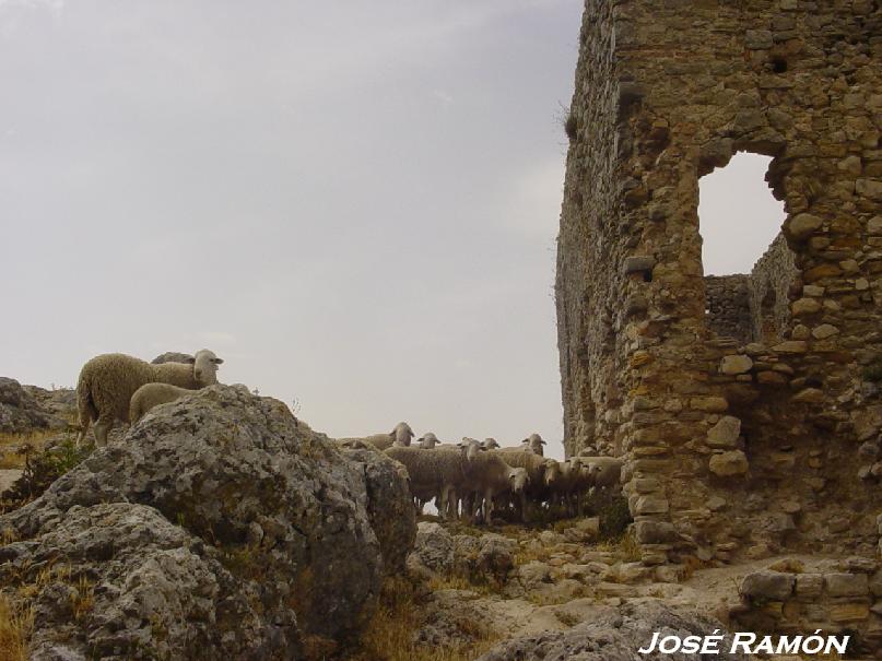 Foto de Olvera (Cádiz), España