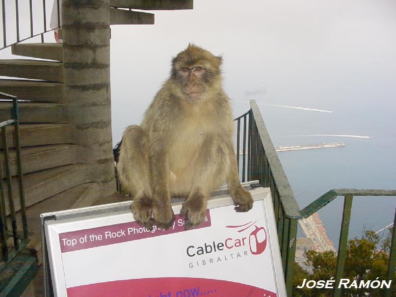 Foto de Gibraltar, Gibraltar