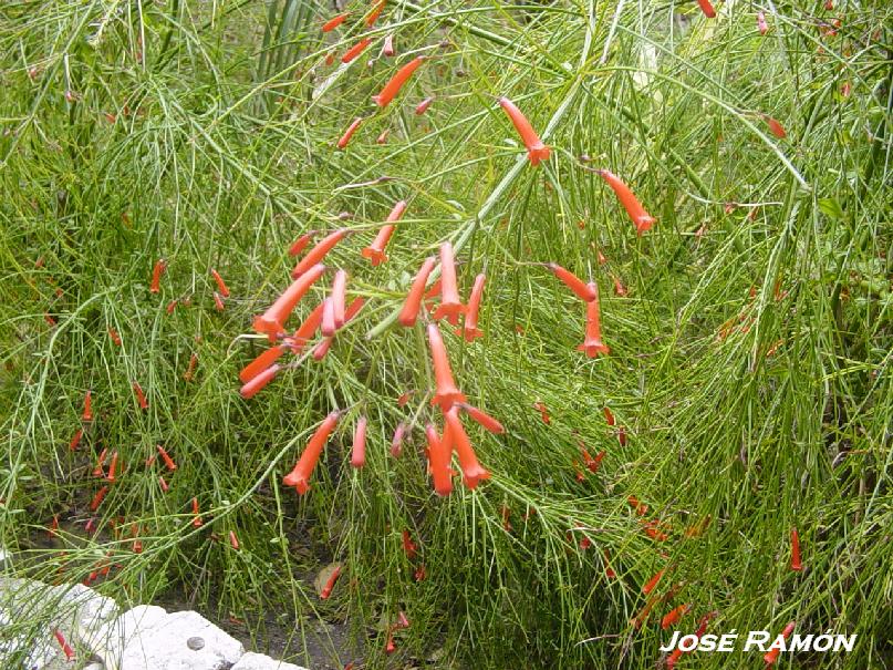 Foto de Gibraltar, Gibraltar