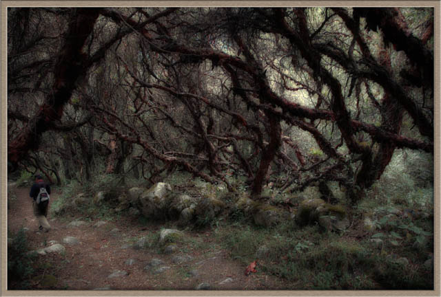 Foto de Huascaran, Perú