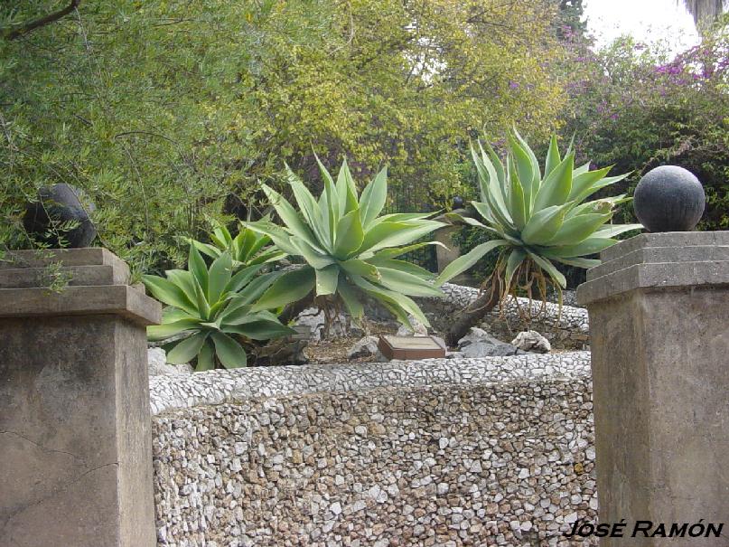 Foto de Gibraltar, Gibraltar