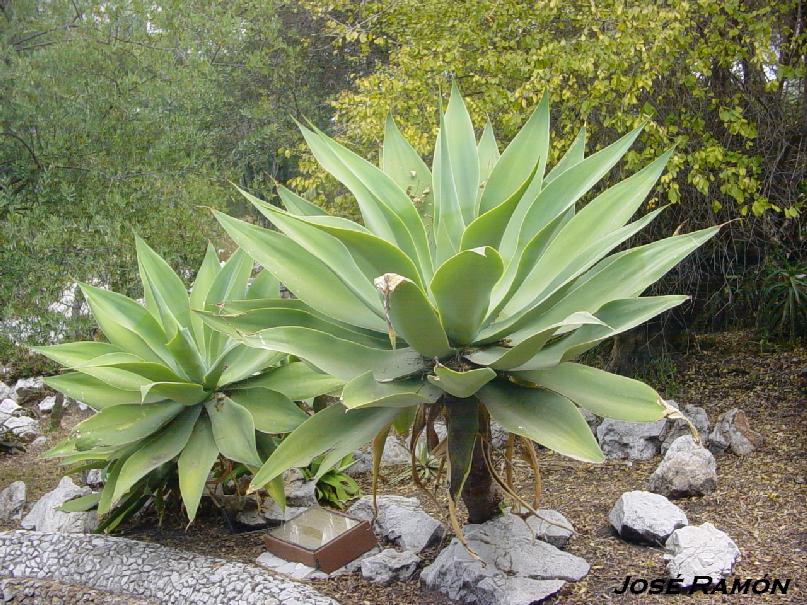 Foto de Gibraltar, Gibraltar