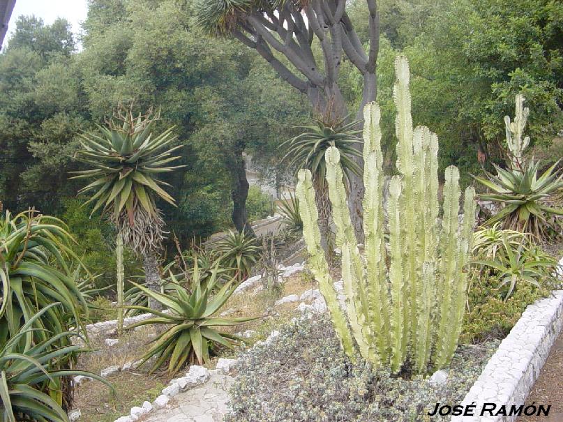 Foto de Gibraltar, Gibraltar