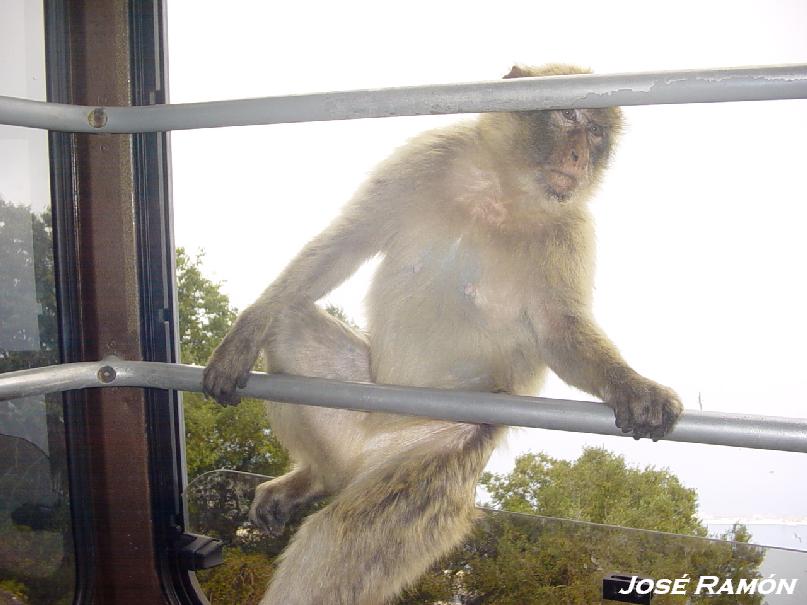 Foto de Gibraltar, Gibraltar
