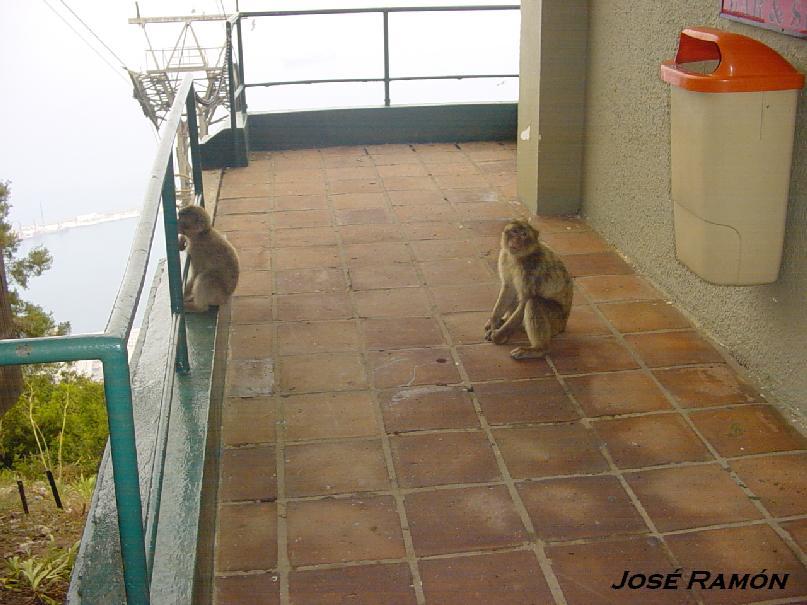 Foto de Gibraltar, Gibraltar