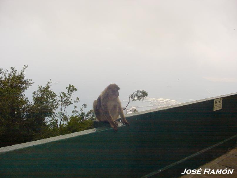 Foto de Gibraltar, Gibraltar