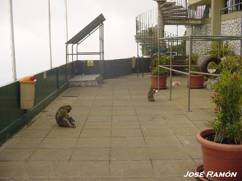 Foto de Gibraltar, Gibraltar