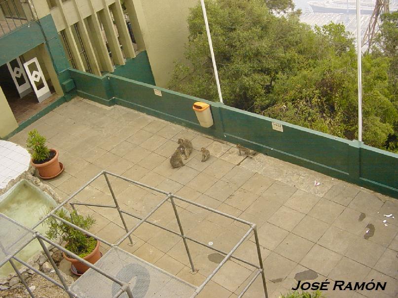 Foto de Gibraltar, Gibraltar