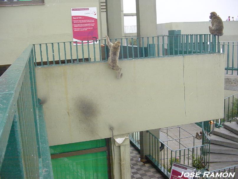 Foto de Gibraltar, Gibraltar