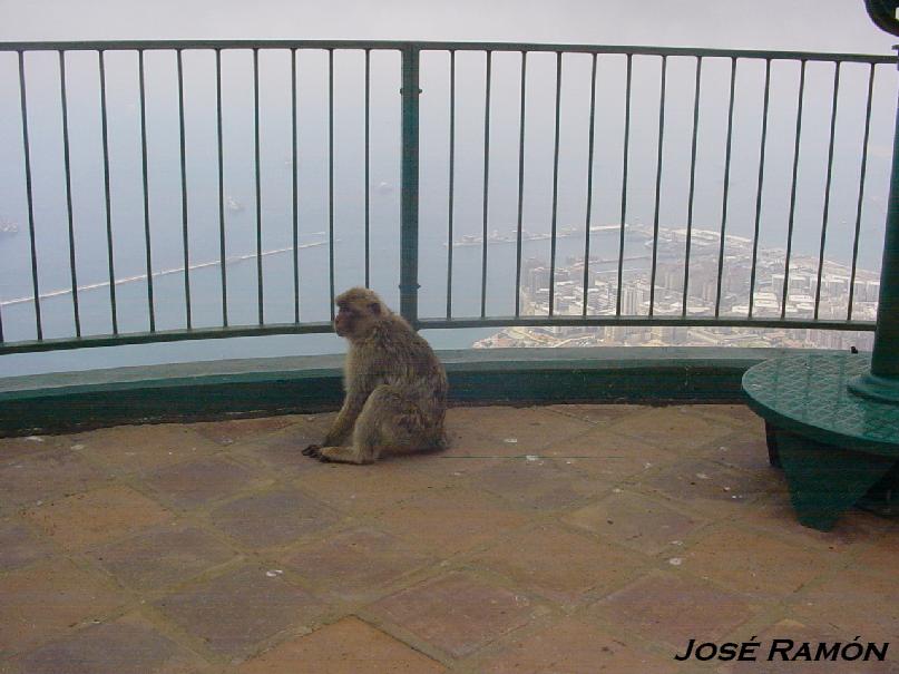 Foto de Gibraltar, Gibraltar