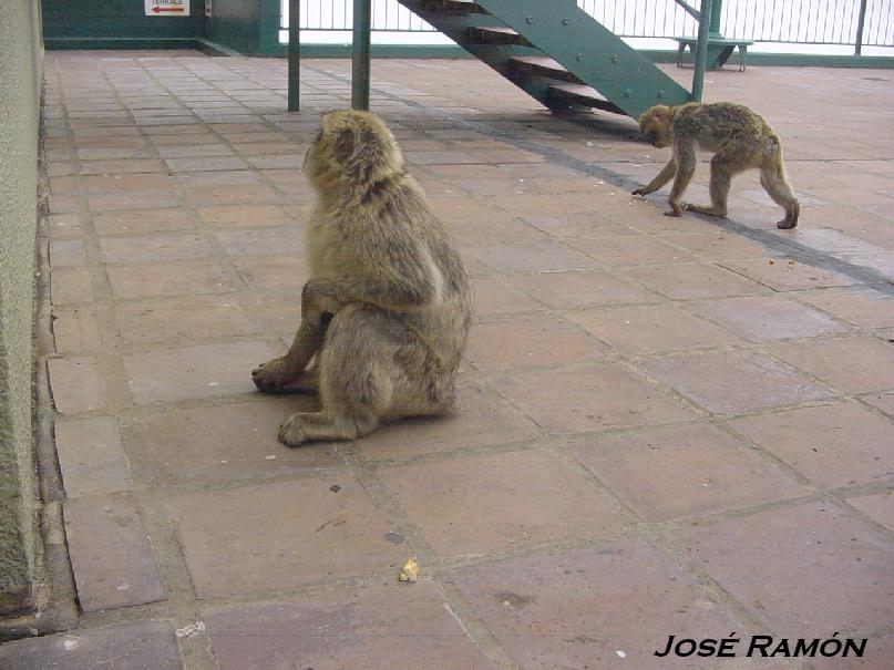 Foto de Gibraltar, Gibraltar
