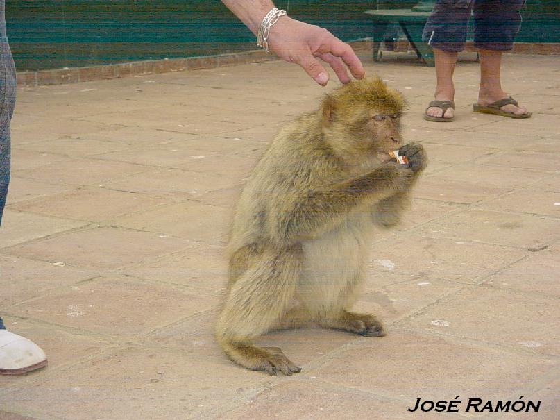 Foto de Gibraltar, Gibraltar