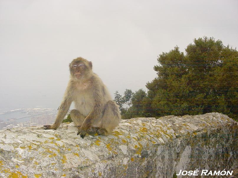 Foto de Gibraltar, Gibraltar
