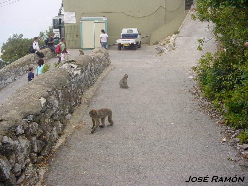 Foto de Gibraltar, Gibraltar