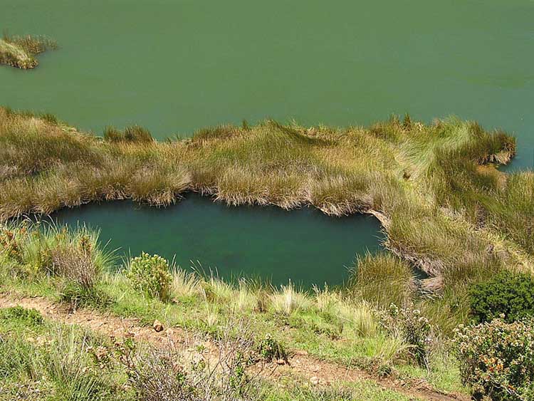 Foto de Vilca, Perú
