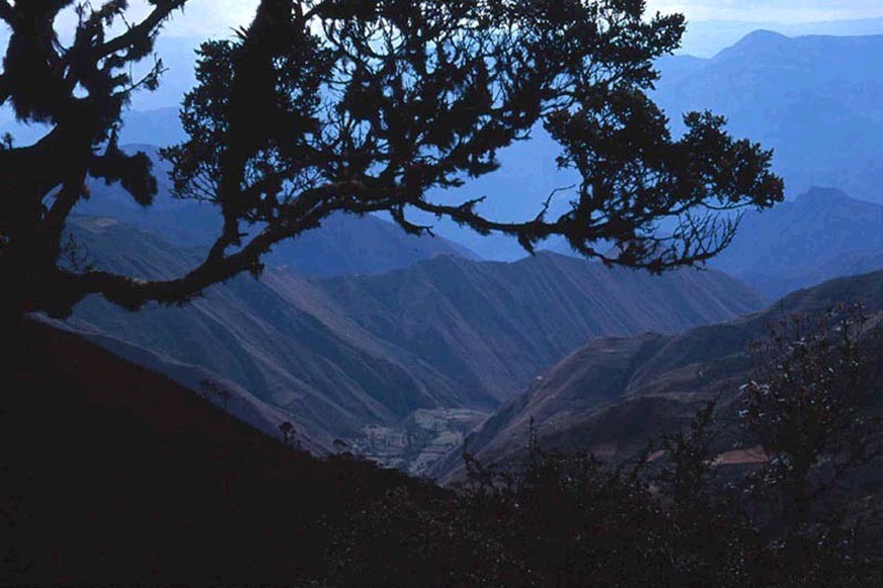 Foto de Cutervo - San Andrés, Perú