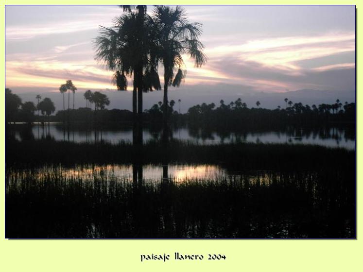 Foto de Llanos, Colombia