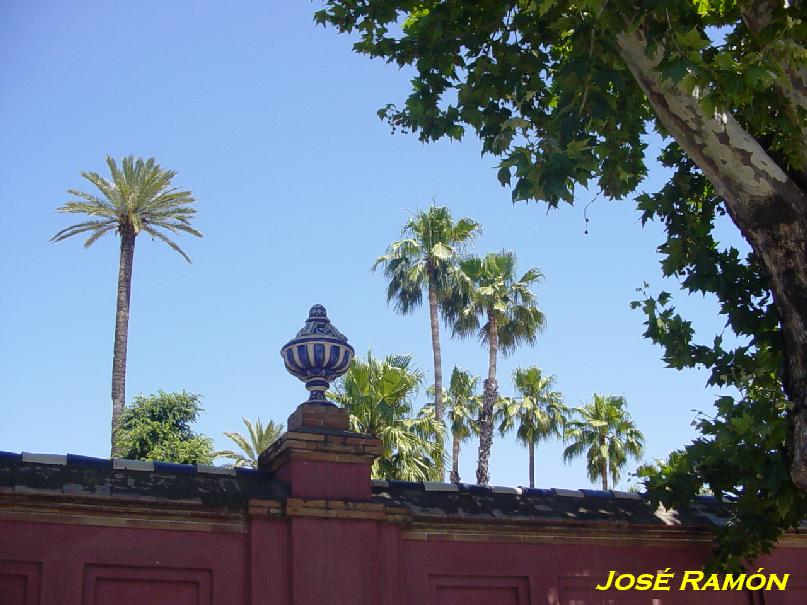 Foto de Sevilla (Andalucía), España