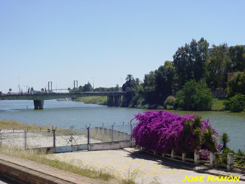 Foto de Sevilla (Andalucía), España