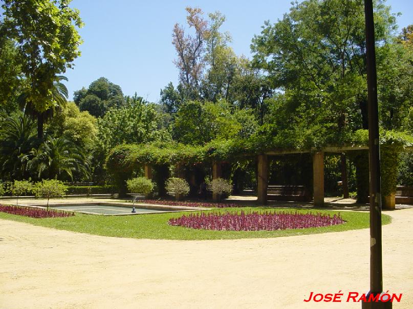 Foto de Sevilla (Andalucía), España