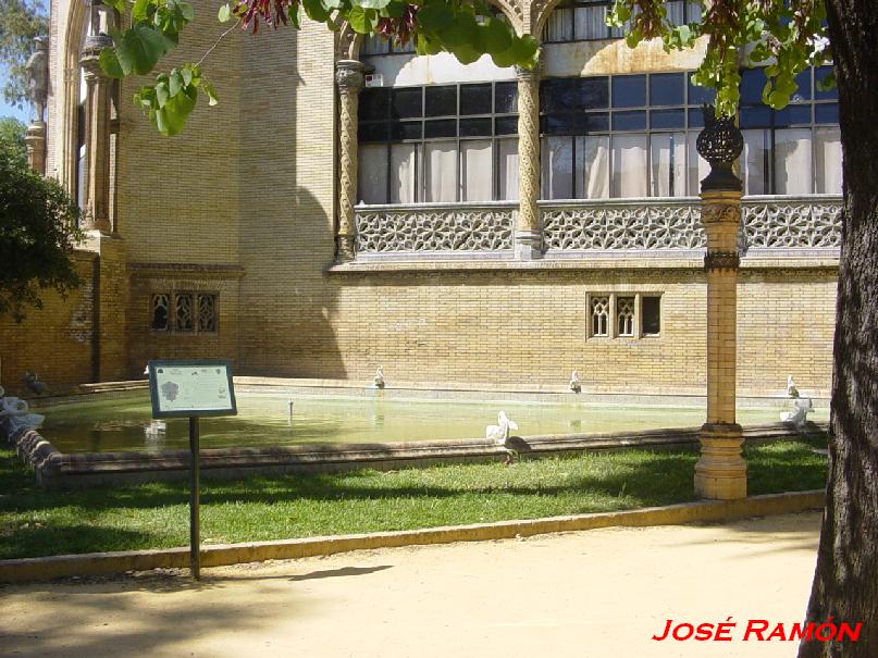 Foto de Sevilla (Andalucía), España