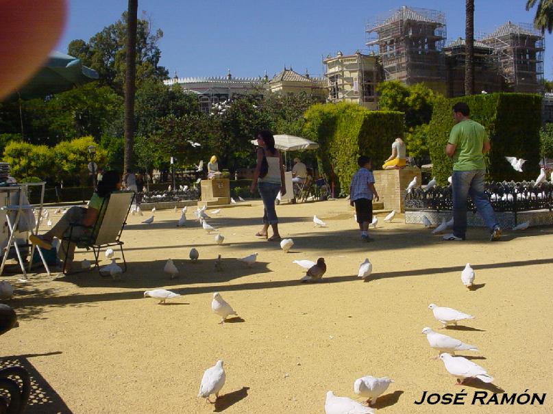 Foto de Sevilla (Andalucía), España