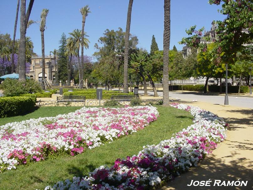 Foto de Sevilla (Andalucía), España