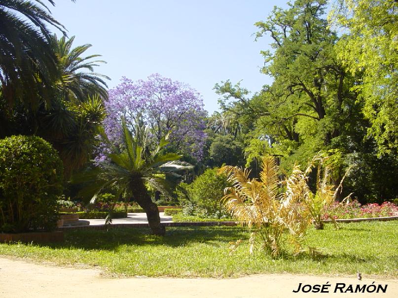 Foto de Sevilla (Andalucía), España