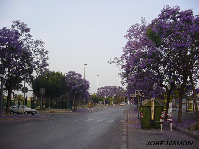 Foto de Jerez  de la Frontera (Cádiz), España